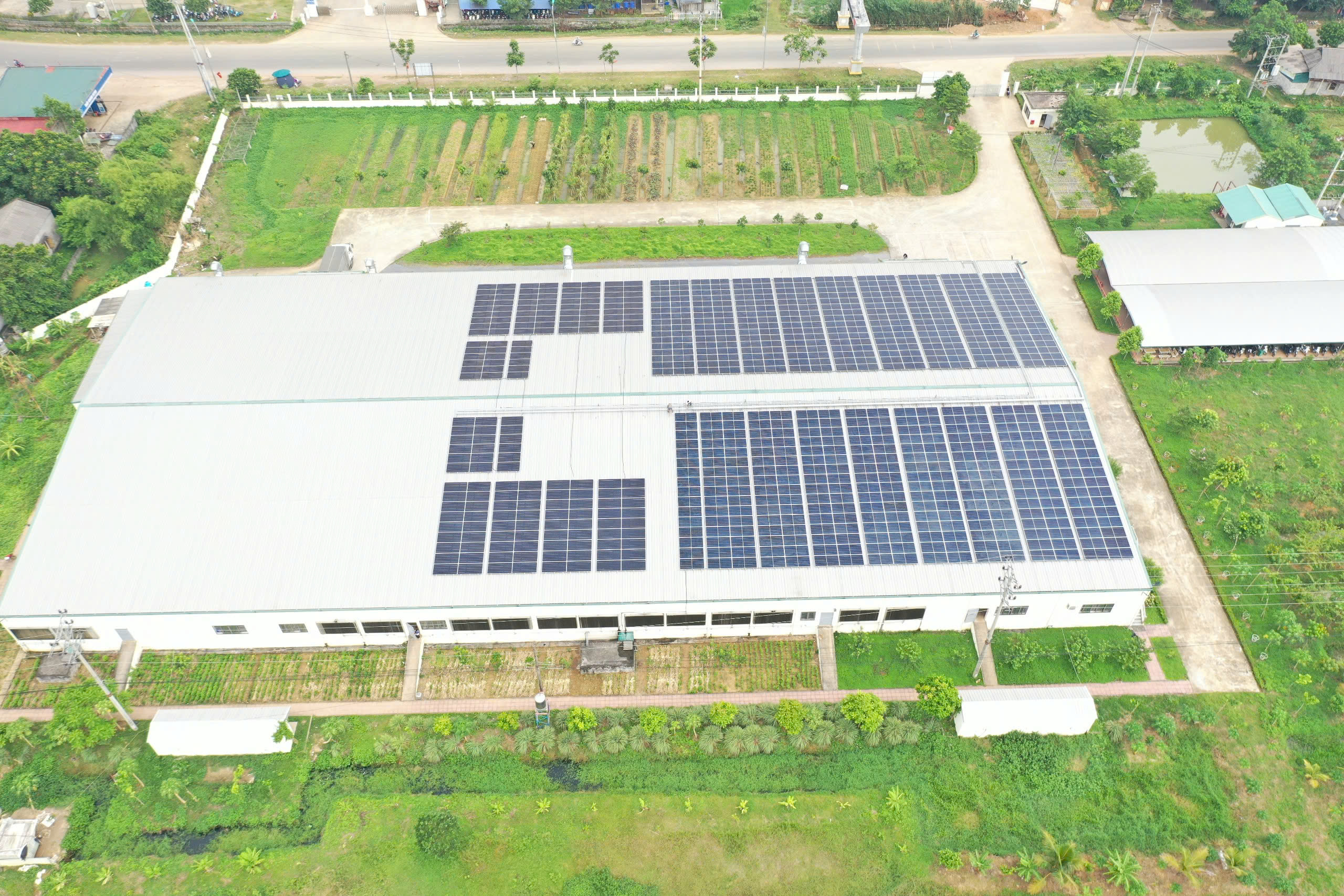 0f25cee080990cc755886