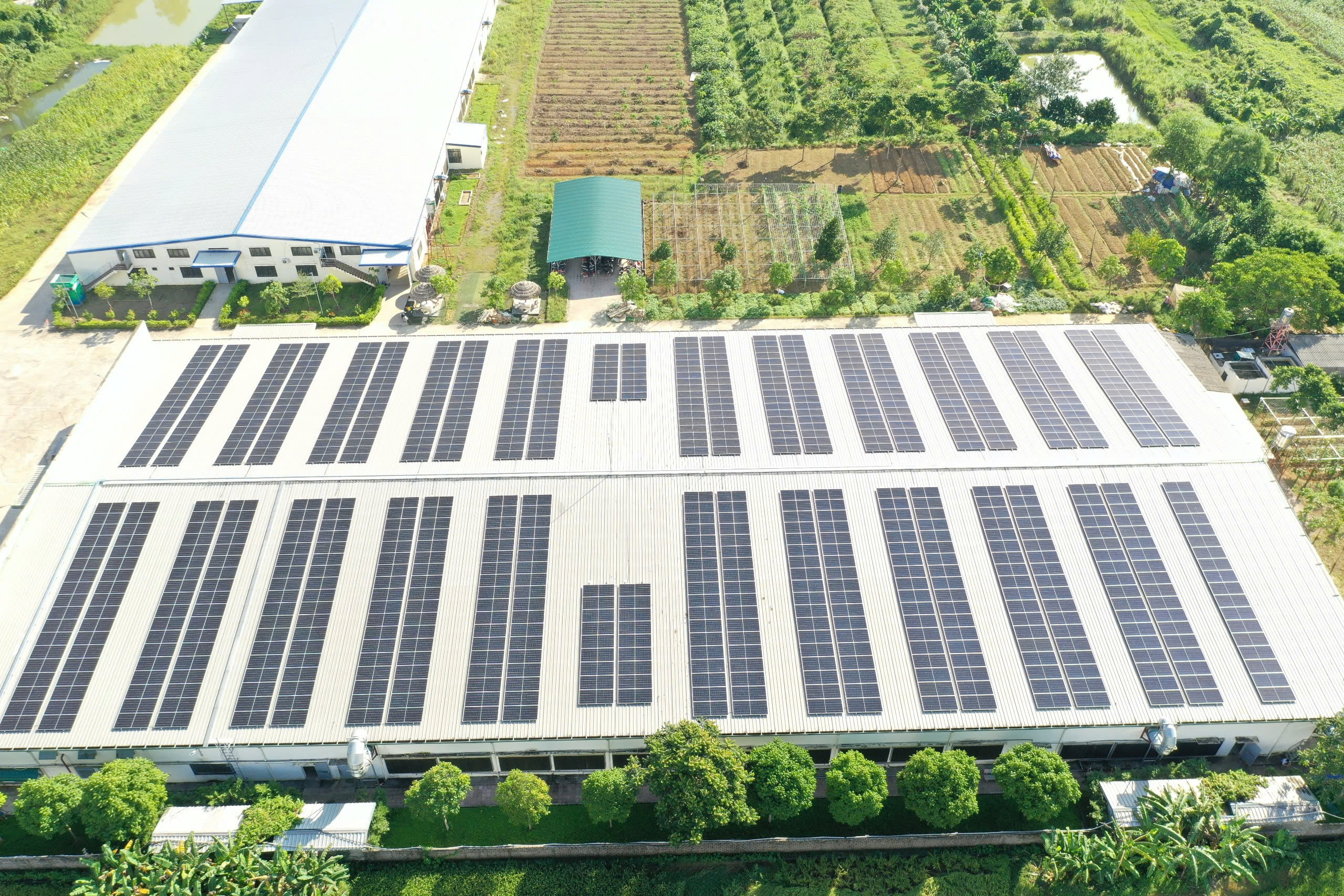 161976467884056971815