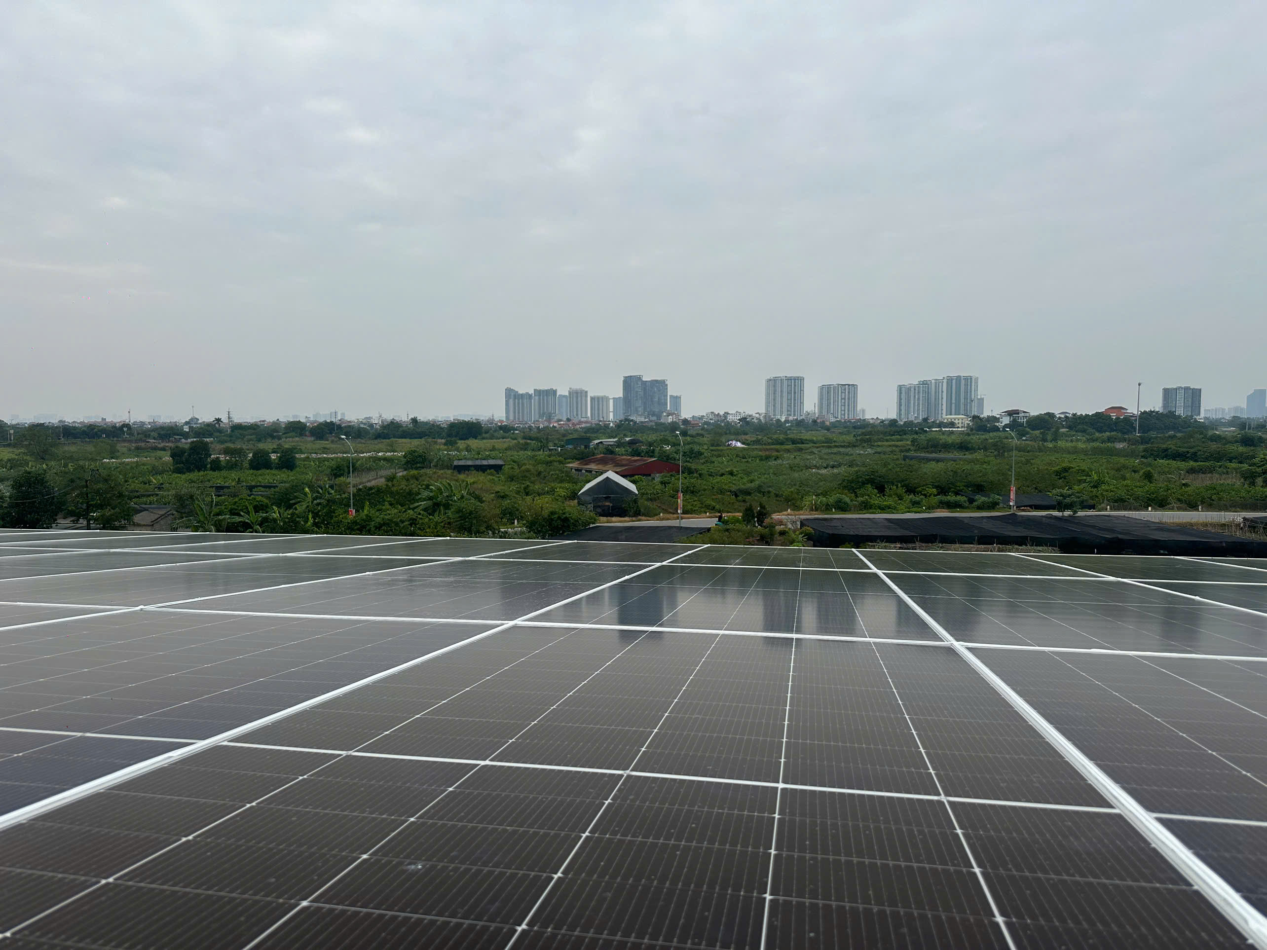 2cfae076100f9c51c51e36