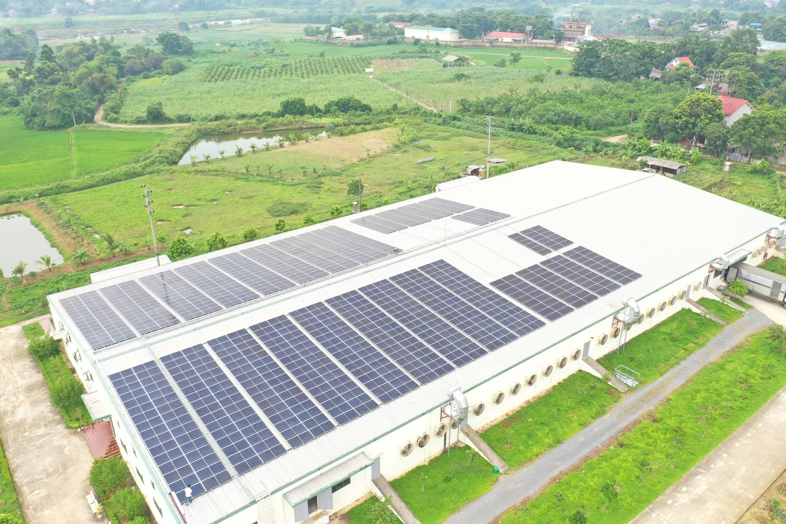 ba24e8e3a69a2ac4738b1